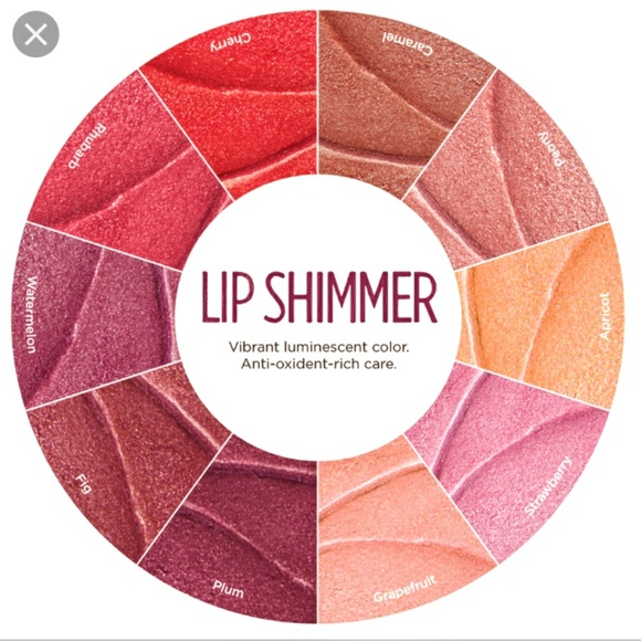 Burt's Bees Makeup Burts Bees Plum Lip Shimmer Poshmark